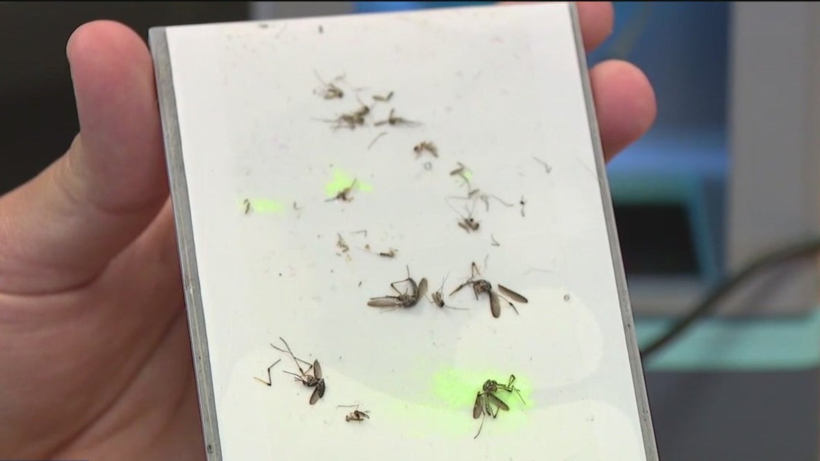 Using AI to track mosquitoes and fight malaria